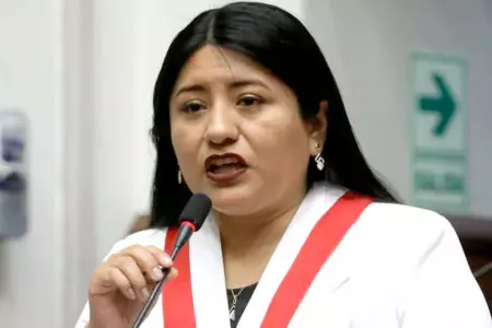 Congresista de Perú Democrático, Nieves Limachi
