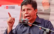 Walter Ayala: CIDH respondera medida cautelar presentada por Pedro Castillo en un plazo de hasta 30 das