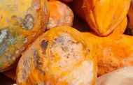 San Luis: Comerciantes pierden más de S/ 80 mil en mercadería de frutas por bloqueos de carreteras