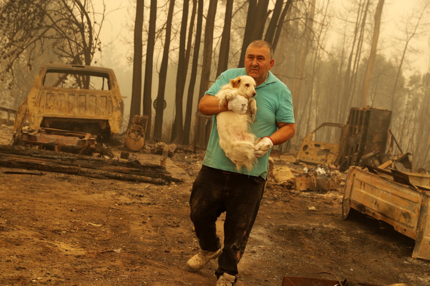 Incendio forestal en Chile