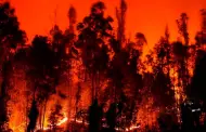 Chile: muertos por incendios llegan a 22 y heridos suman 554