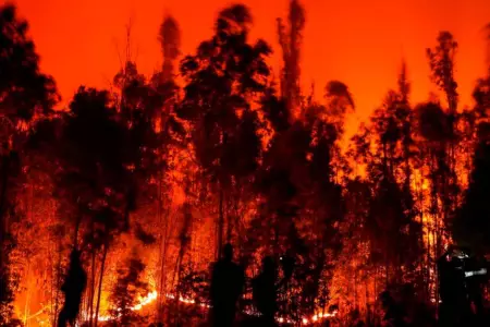 Incendio en Chile
