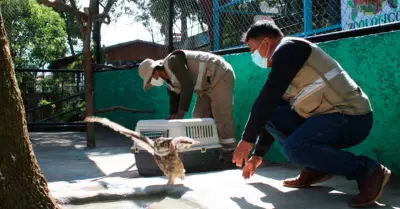 Zoolgico del Cerrito de la Libertad de Huancayo