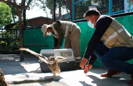 Zoológico del Cerrito de la Libertad de Huancayo