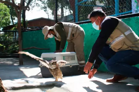 Zoolgico del Cerrito de la Libertad de Huancayo