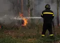 Francia enviará 80 bomberos y rescatistas a Chile para combatir incendios forestales
