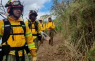 Ecuador enviar a 55 bomberos para apoyar combate de incendios en Chile