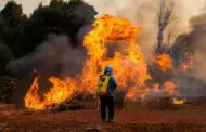 Decretan toque de queda en zonas afectadas por incendios en Chile
