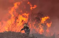 Chile: Ms de 336.000 hectreas arrasadas y 95 incendios sin control
