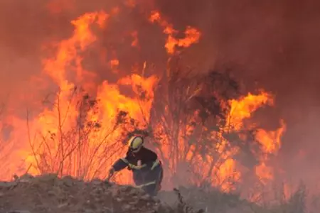 Incendio forestal pusieron en alerta al centro de Chile.