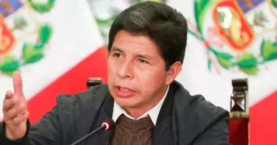 Pedro Castillo, expresidente de la Repblica