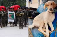 PNP despidi a 'Marquitos', perro polica que fue asesinado junto a siete oficiales en el Vraem
