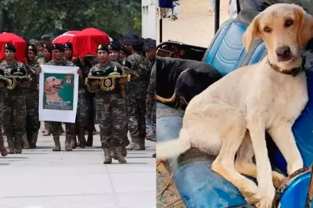 Último adiós a perro policía asesinado en el Vraem