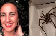 Se fue de vacaciones a Pinamar y durmi junto a una araa gigante, su reaccin se volvi viral