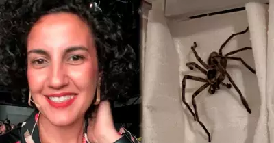Mujer publica en sus redes sociales la araa gigante que encontr.