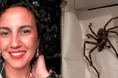 Mujer publica en sus redes sociales la araña gigante que encontró.