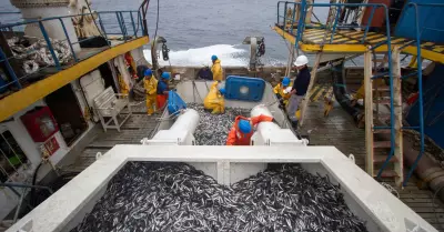 Segunda Temporada de Pesca de Anchoveta 2022 genera ms de US$ 1,000 millones