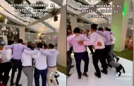 Perrito se roba el show en boda de su dueo: "Estaban rodeando al novio y entr su mejor amigo"