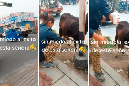 Cabra atada en un paradero