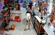Qu elegancia! Mujer entr al supermercado montada en un caballo