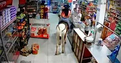 Mujer y su caballo ingresaron a un minimarket