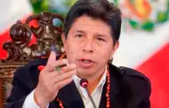 Pedro Castillo: Congreso debatir hoy, viernes, la denuncia constitucional contra expresidente