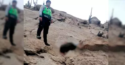 Delincuente muere al caer de cerro, en Huacho