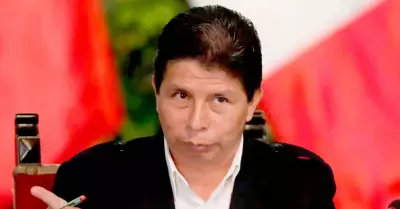 Pedro Castillo, expresidente de la Repblica.