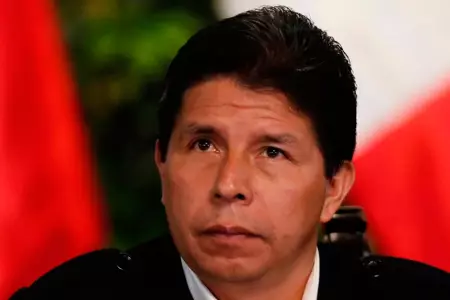 Pedro Castillo, expresidente de la República.