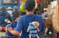 Enternecedor! Joven es captado cargando a su cachorro en un canguro para beb