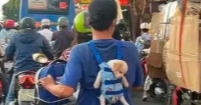 joven captado llevando a cachorro en un canguro
