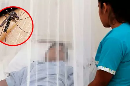 Minsa registra incremento de casos de dengue en el país.