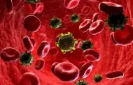 Un tercer enfermo de VIH logra curarse tras un trasplante de clulas madre