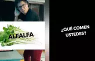 Lo volvi a hacer! Tito Silva Music lanza "Alfalfa" tomando en cuenta el precio del men de los congresistas