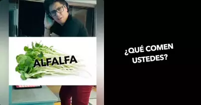 Tito Silva Music lanza su nuevo tema "Alfalfa".