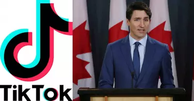 Gobierno de Canadá prohibirá uso de Tik Tok en sus colaboradores.