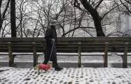 Nueva York registra su mayor nevada en un invierno inusualmente templado