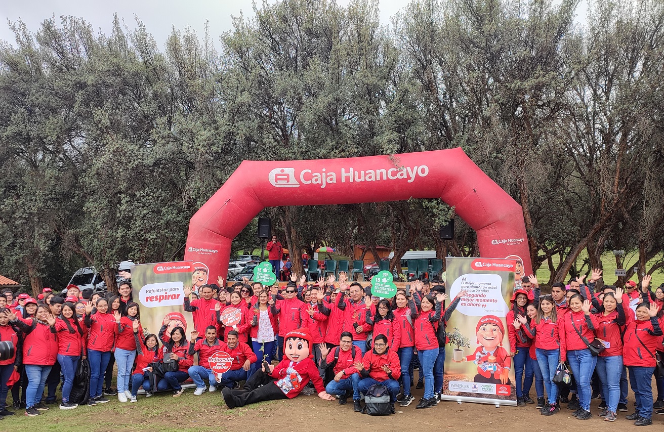 Caja Huancayo Cumple Jornada De Reforestación Del Bosque Dorado ...