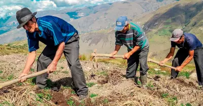 Lanzan plan 'Con Punche Per Agro' para reactivar el sector