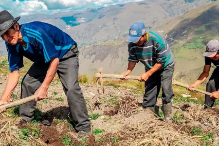 Lanzan plan 'Con Punche Perú Agro' para reactivar el sector