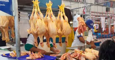 Costos en la venta de pollo se incrementaría en estos meses