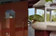 Frodrick, una rana que vive en una casa en 3D