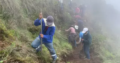 Productores jimbeos construyen carretera para llegar a lagunas de la Cordillera