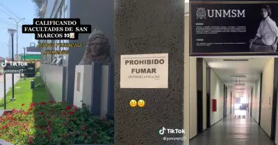 Sanmarquina muestra cmo es su facultad en un video de TikTok.