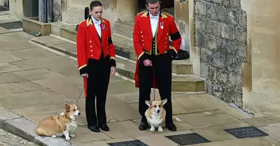 Perros de la Reina Isabel