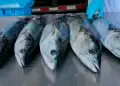 Da Internacional de la Mujer: SNP y Exitosa donan pescados a ollas comunes