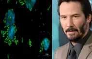 Cientficos nombran un compuesto bacteriano inspirados en el actor Keanu Reeves