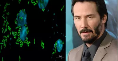 Keanu Reeves responde sobre el peculiar nombre de una bacteria.