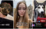 Extranjera descarga Tinder en Per y se sorprende al encontrar perfiles con fotos de perros