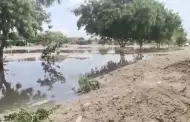 Piura: Colapsan desages por lluvias y viviendas estn deteriorndose